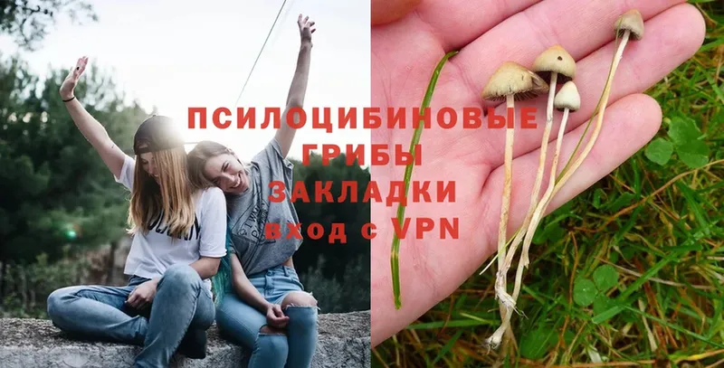 Галлюциногенные грибы Magic Shrooms  Любим 